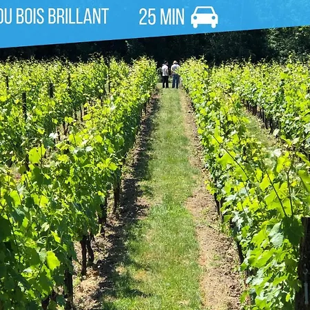 Lejlighed Self Checkin Automatique - Downtown - Antarctique Jouarre